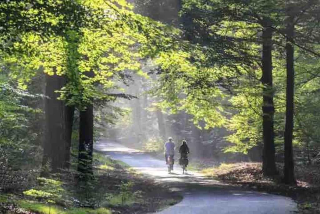 Вілла Chalet Toetje Op De Veluwe Гундерло Екстер'єр фото