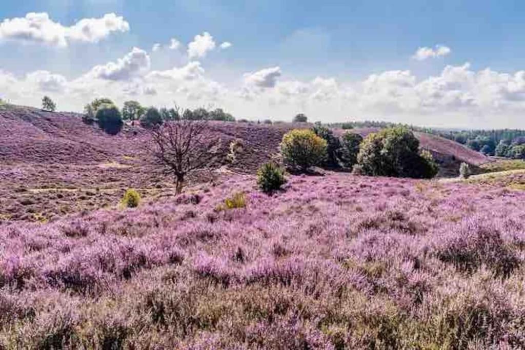 Chalet Toetje Op De Veluwe Гундерло Екстер'єр фото